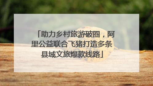 助力乡村旅游破圈，阿里公益联合飞猪打造多条县域文旅爆款线路